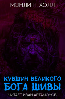 обложка аудиокниги Кувшин великого бога Шивы