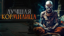 обложка аудиокниги Лучшая кормилица