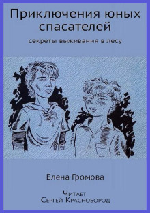 обложка аудиокниги Приключения юных спасателей