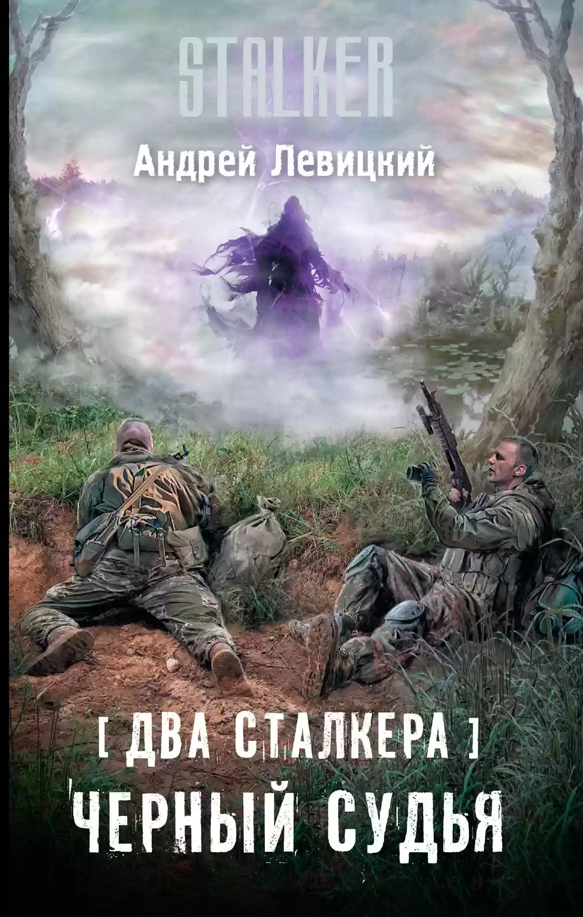 обложка аудиокниги Два сталкера. Чёрный судья