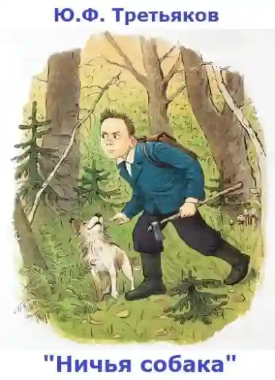 обложка аудиокниги Ничья собака